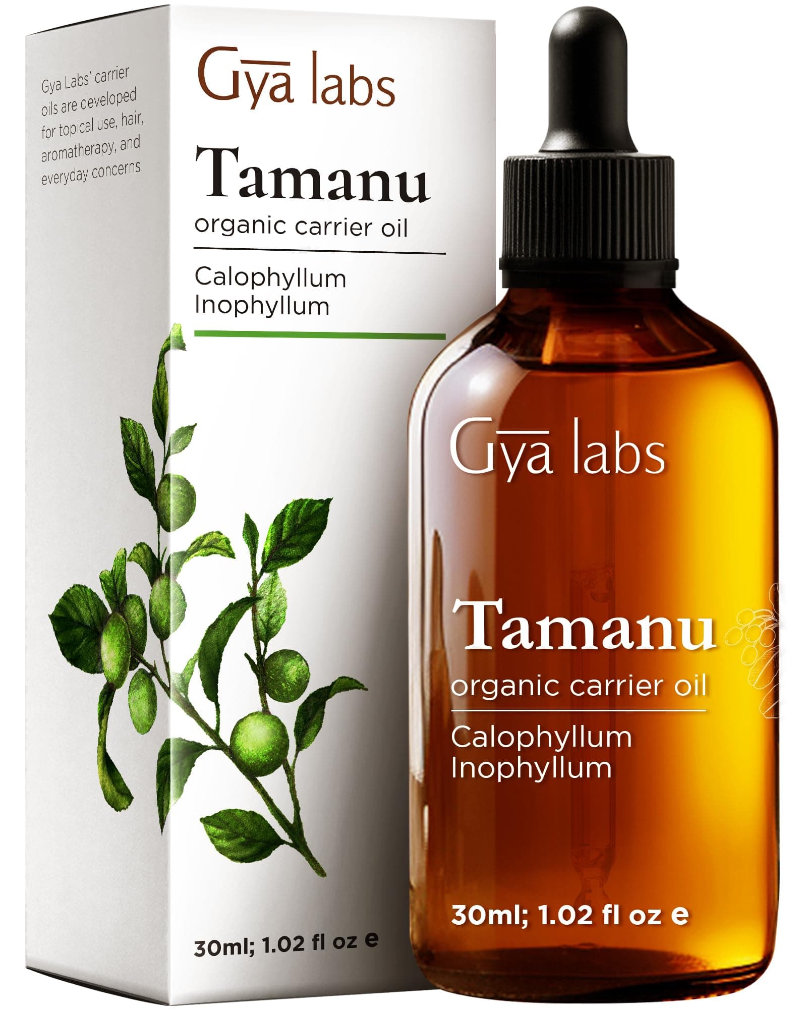 Tamanu Oil - 1 Fl Oz - Carrier Oil for Hair, Skin, Face, Scalp & Body Massage