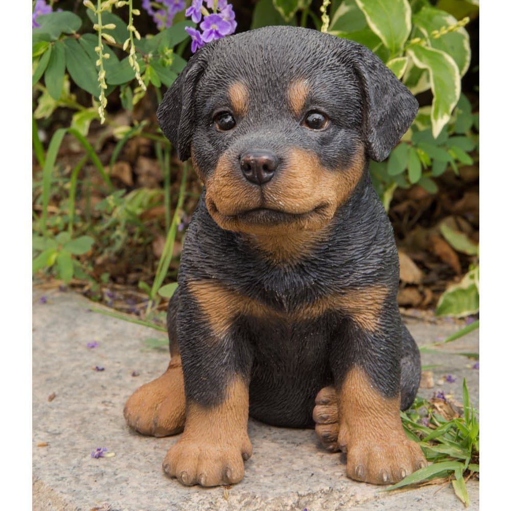 Hi-Line Gift Ltd Sitting Rottweiler Puppy, 6.5"