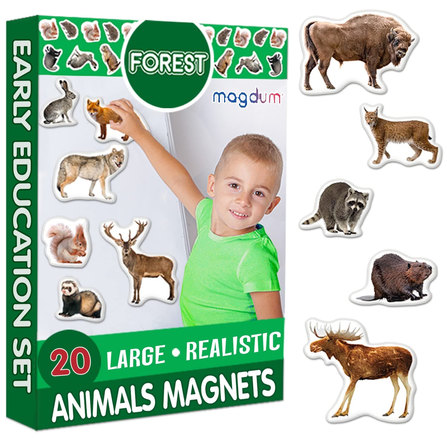 MAGDUM Fridge Magnets for Toddlers Forest Animal Magnets - 20 Kids Magnets Fridge Magnets for Kids Refrigerator Magnets for Kids Baby Magnets Magnetic Toys Toddler Toys Baby Toys Toddler Learning Toys