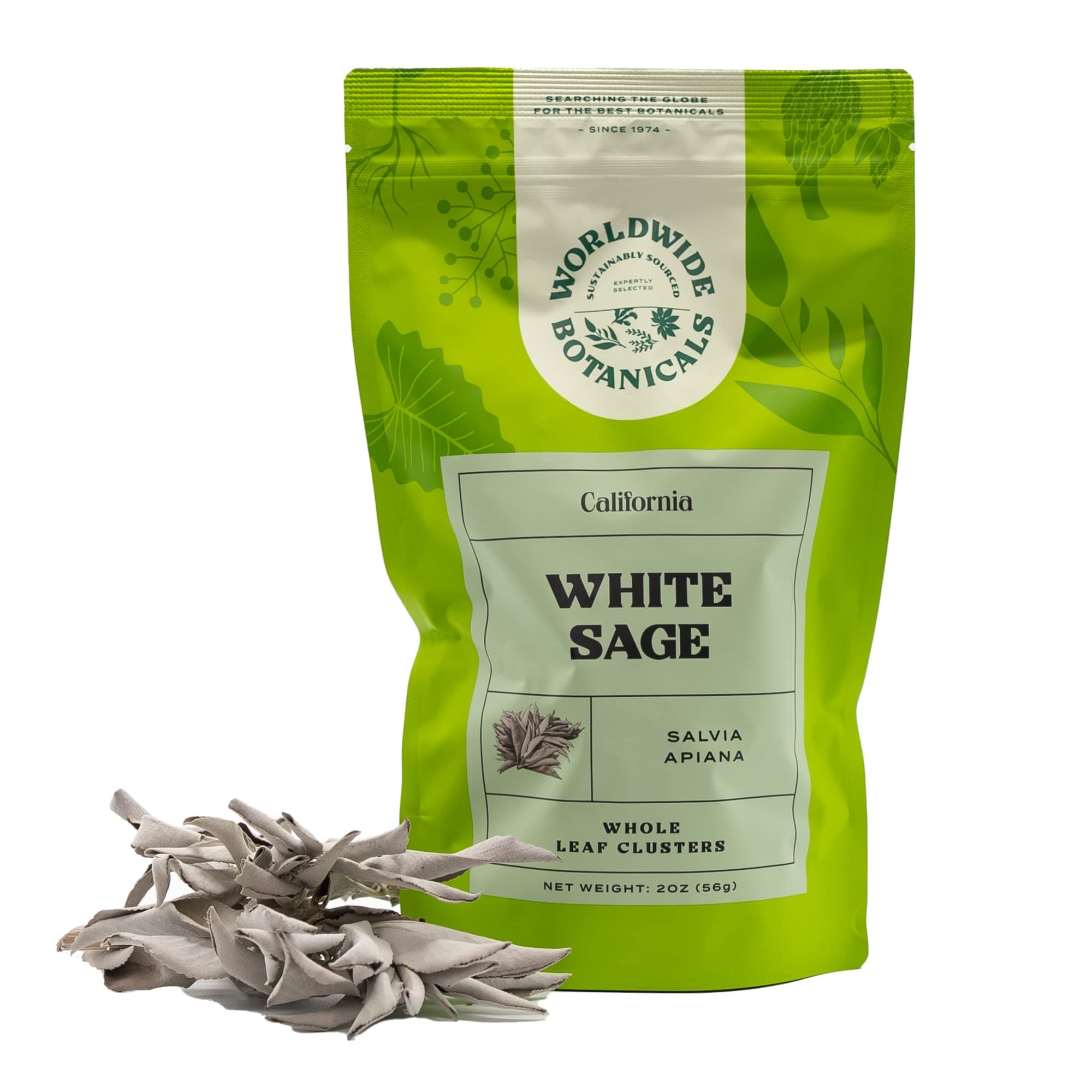 White Sage – 100% Pure California White Sage Clusters – Sustainably Cultivated, 2 Ounces