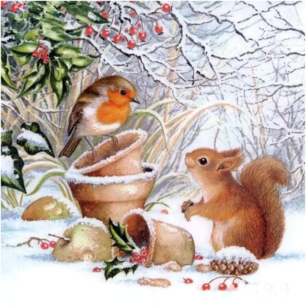 TOOINKCV 5D DIY Diamond Art Painting Kits, Rhinestone Diamond Cross Stitch Embroidery Canvas Painting Pictures Painting for Children Adults- Squirrel