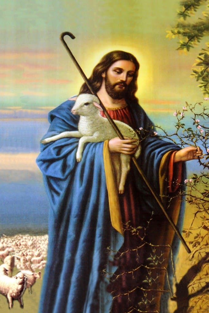 DIY Diamond Painting Got 5D Paint with Diamonds Full Drill Diamond Dots Rhinestone Picture