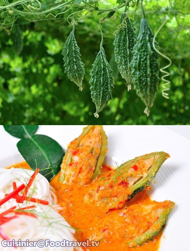 Organic (15 Seeds) Thai bitter melon-bitter gourd-better squash-balsam pear non GMO Seeds + Free Thai Food Recipe