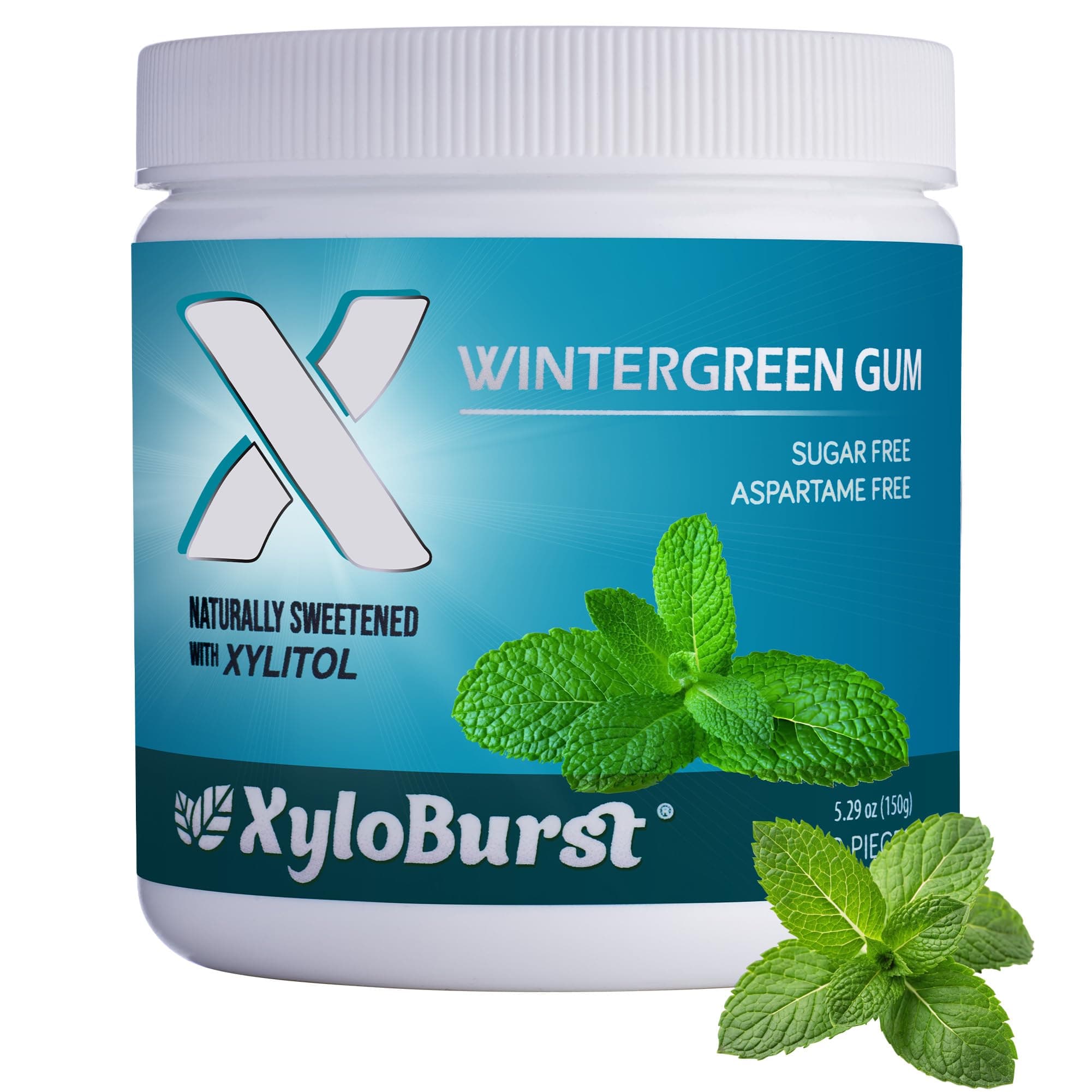 100% Xylitol, Natural Chewing Gum 100 Count Jar Non GMO, Vegan, Aspartame Free, Sugar Free (Wintergreen, 1 Jar)