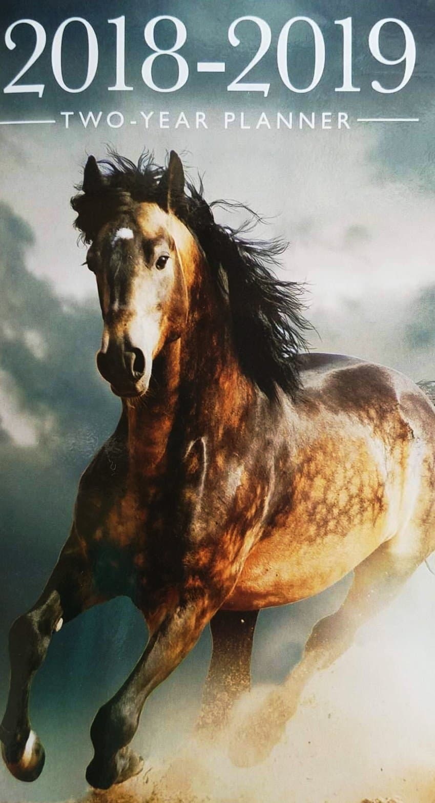 Dolgen Corp Horses 2018-2019 2 Year Pocket Planner