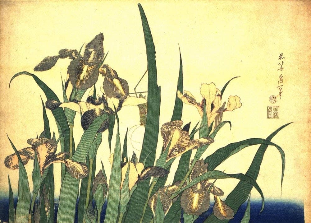 Hokusai 'Irises and Grasshopper', Japan, 18-19th Century, Reproduction 200gsm A3 Ukiyo-e Classic Art Poster