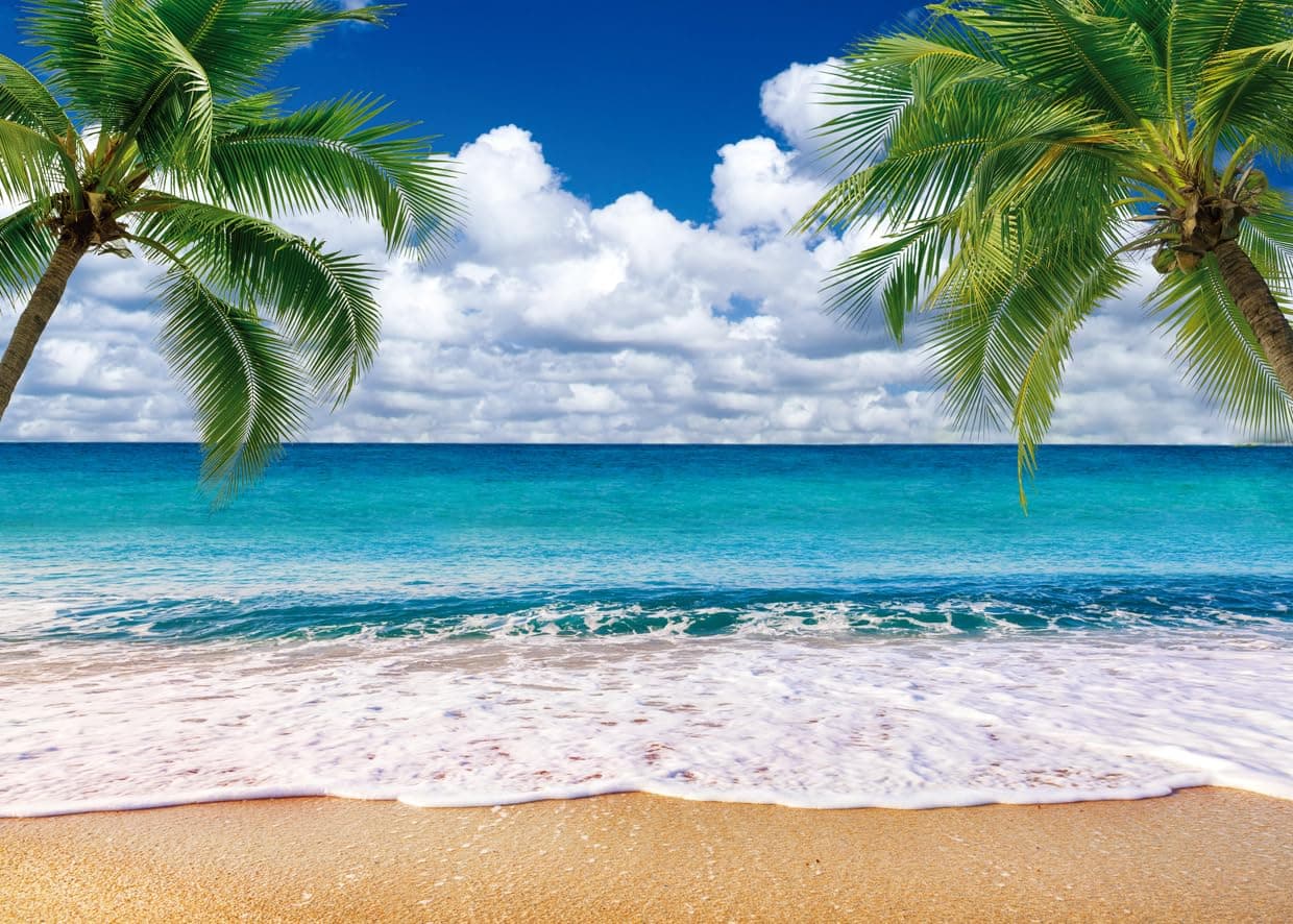 SJOLOON Summer sea Backdrop Tropical Beach Plants Photo Backdrop Hawaiian Oce...