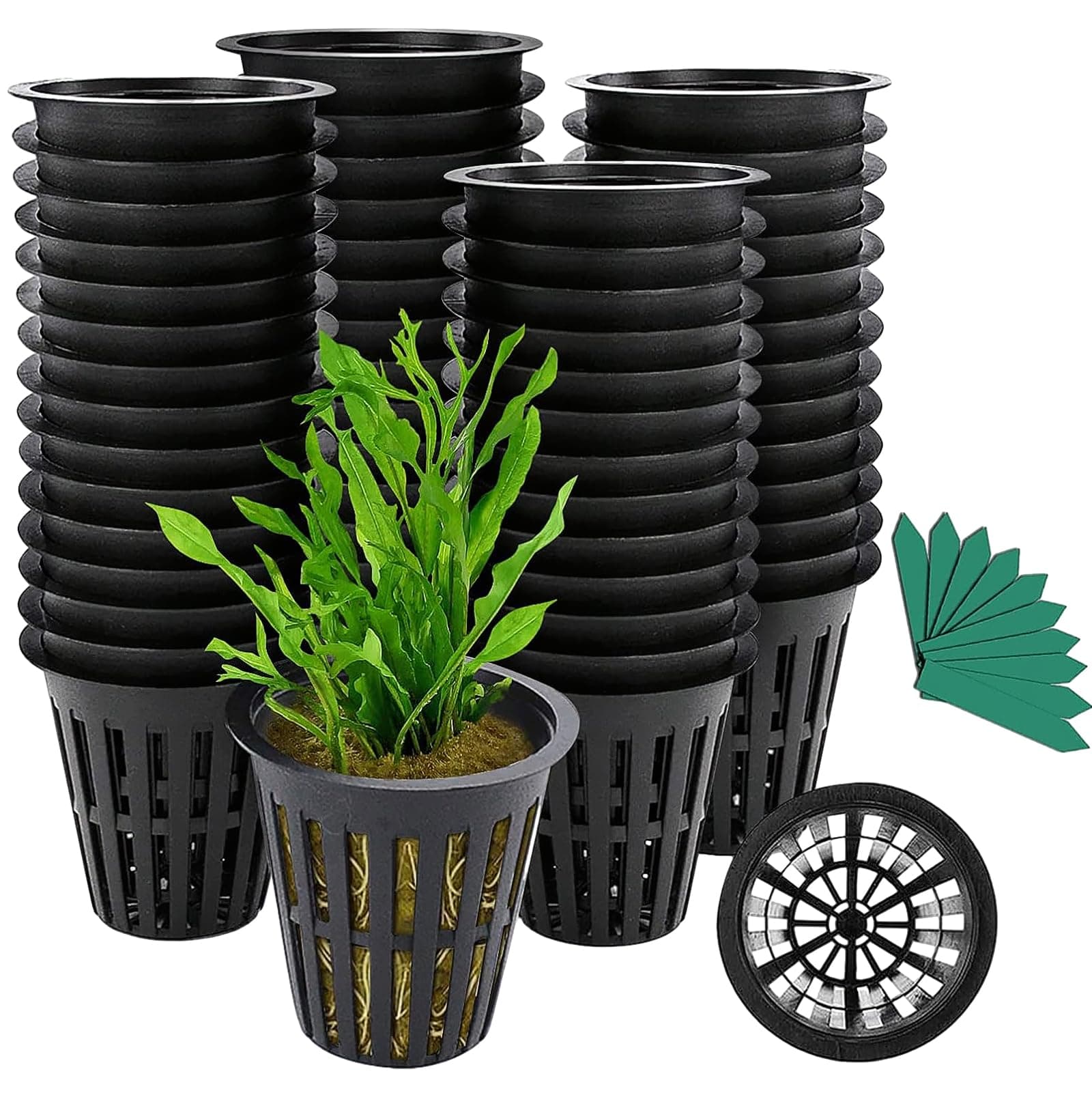 GROWNEER Net Pot for Hydroponics 100 Pcs 2 Inch Garden Slotted Mesh Net Cups, Heavy Duty Hydroponic Pots Supplies with 50Pcs Plant Labels, Planting Grow Basket for Indoor Outdoor Aquaponics Growing