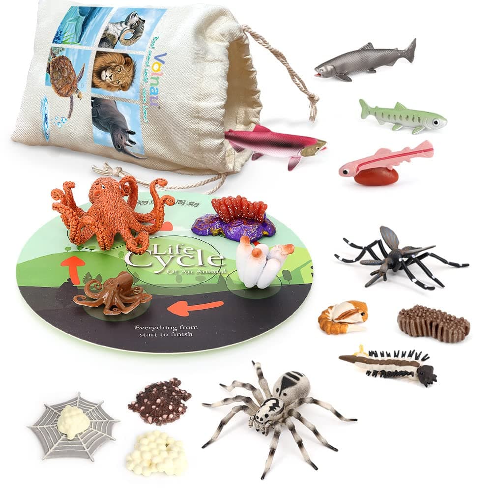 Volnau Animal Figurines Toys 17PCS Life Cycle Figure Set for Toddlers Kids Salmon Octopus Wolf Spider Mosquito Christmas Birthday Gift Preschool Educational Prop
