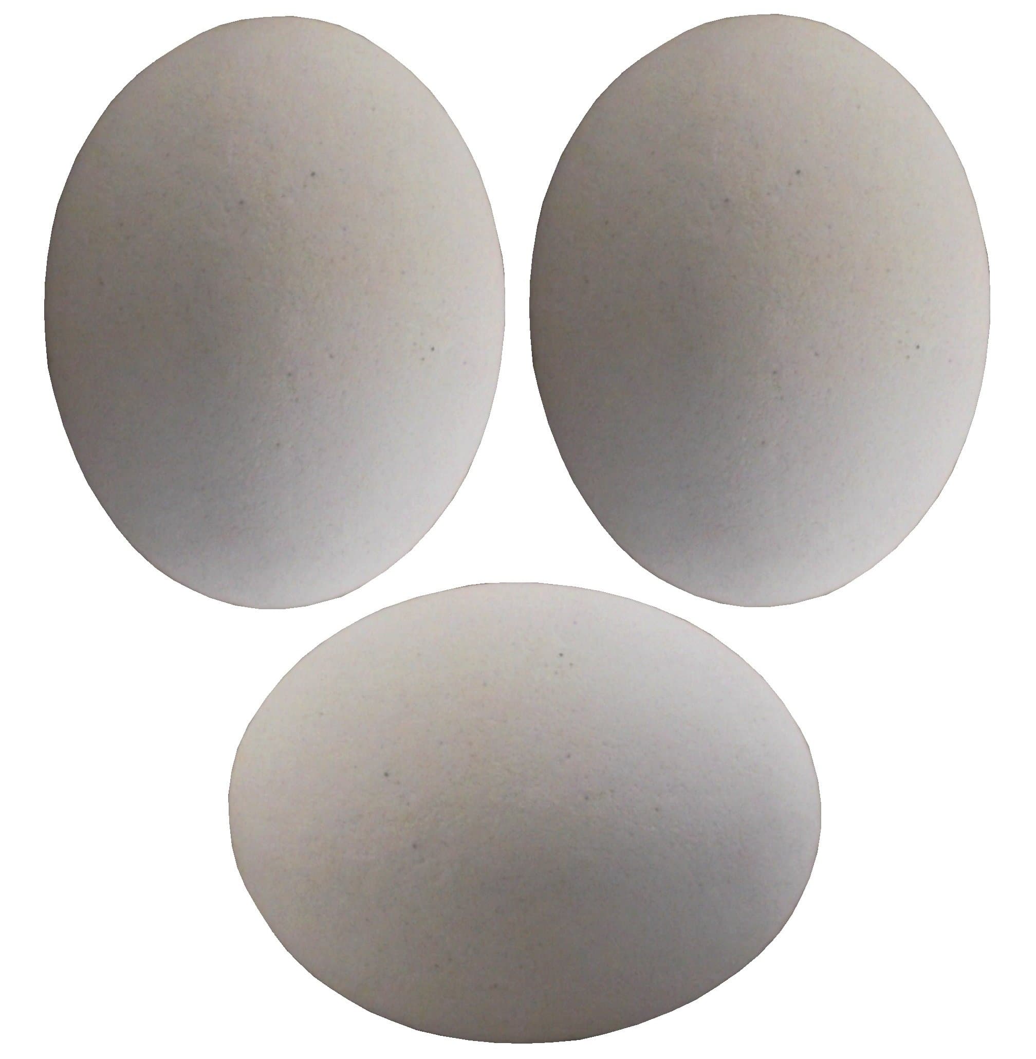 3 PACK WHITE CERAMIC DUMMY BIRD QUAIL NEST EGG HATCHING CRAFT NESTING DOVE