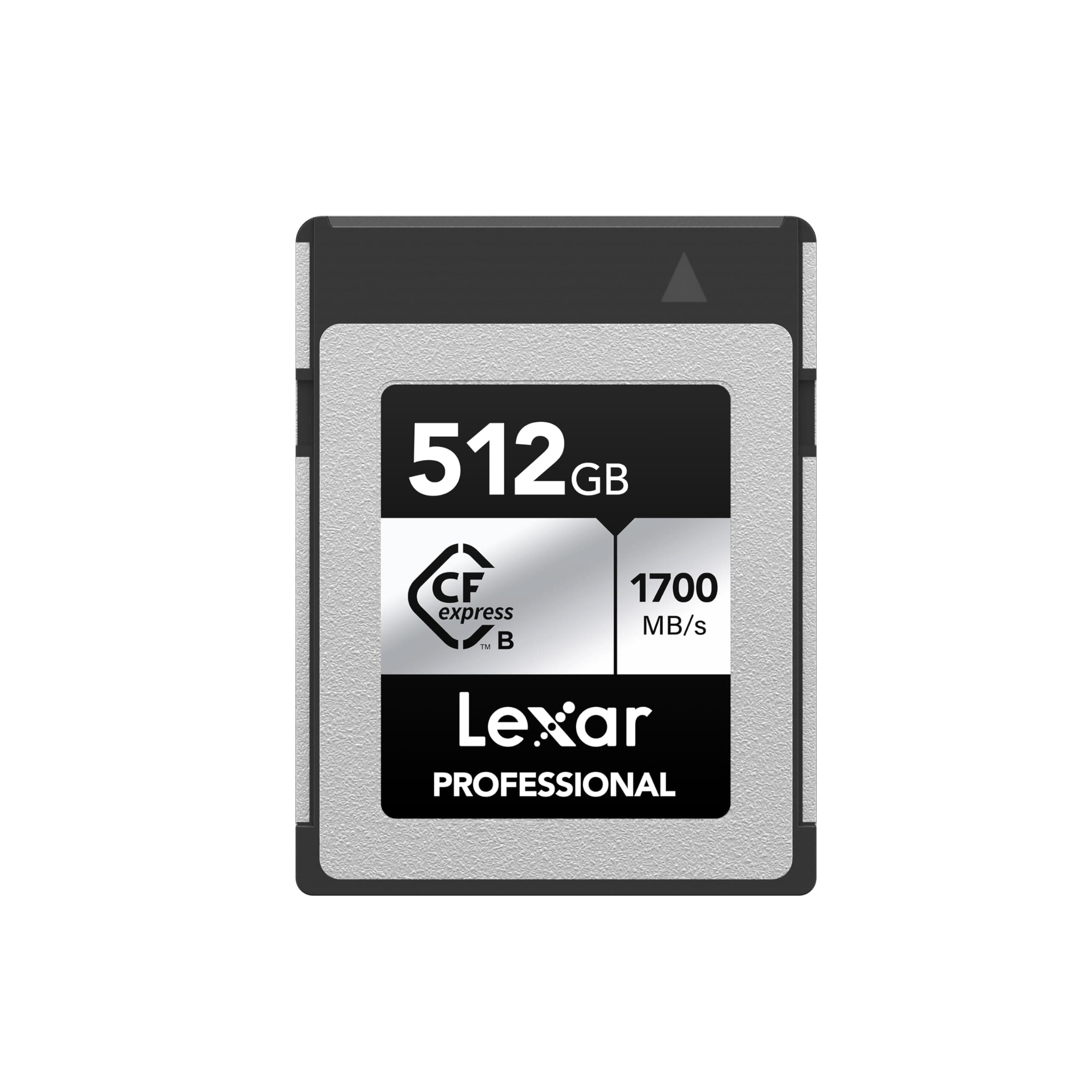 512GB Professional Silver SE CFexpress Type B Memory Card, for Photographers, Videographers, Up to 1700/1250 MB/s, 8K Video (LCXEXSE512G-RNENU)