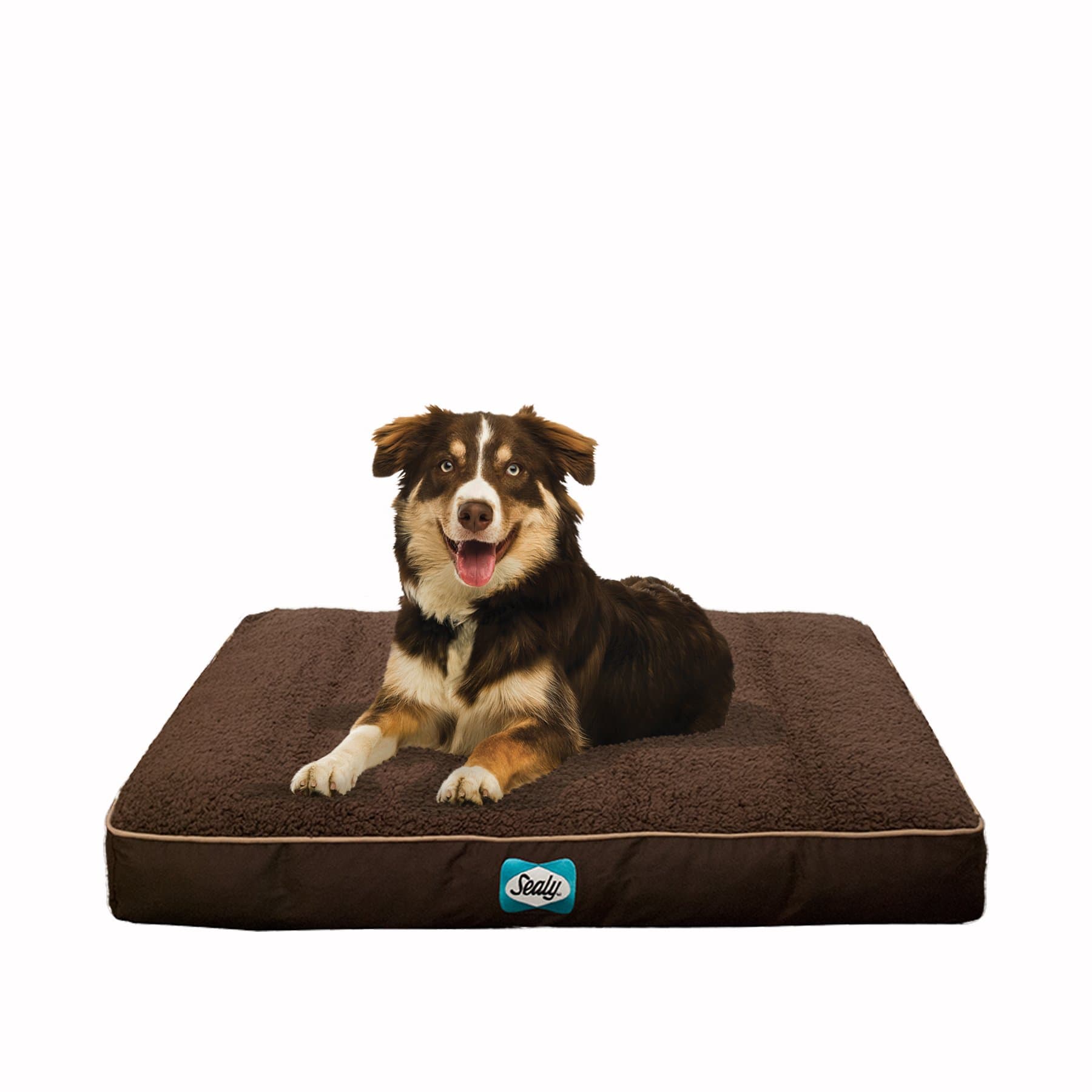Sealy Dog Bed Cozy Comfy Sherpa Bed, Medium, Brown
