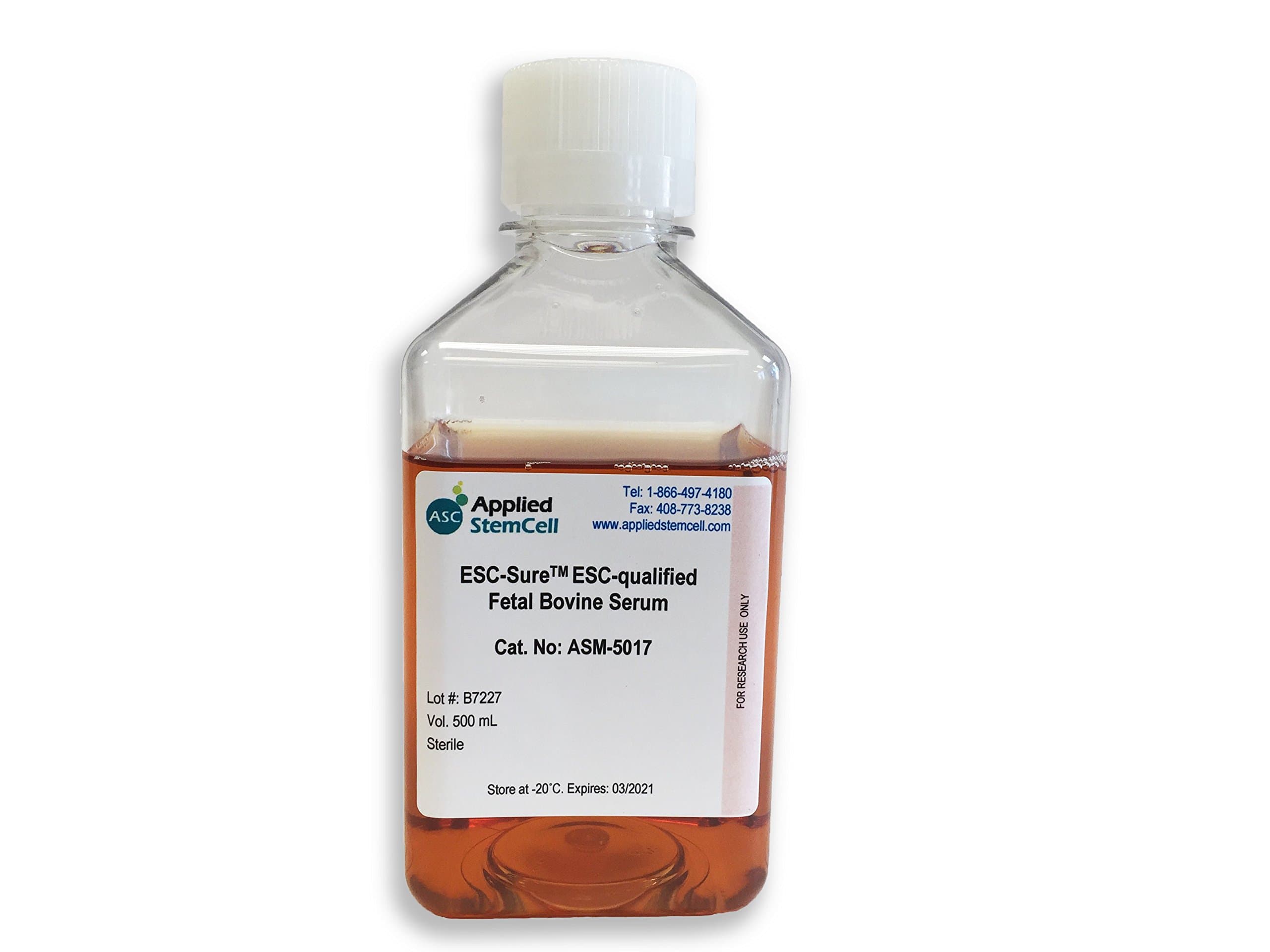 Fetal Bovine Serum - FBS, RMBIO FBS-ABT-5XM