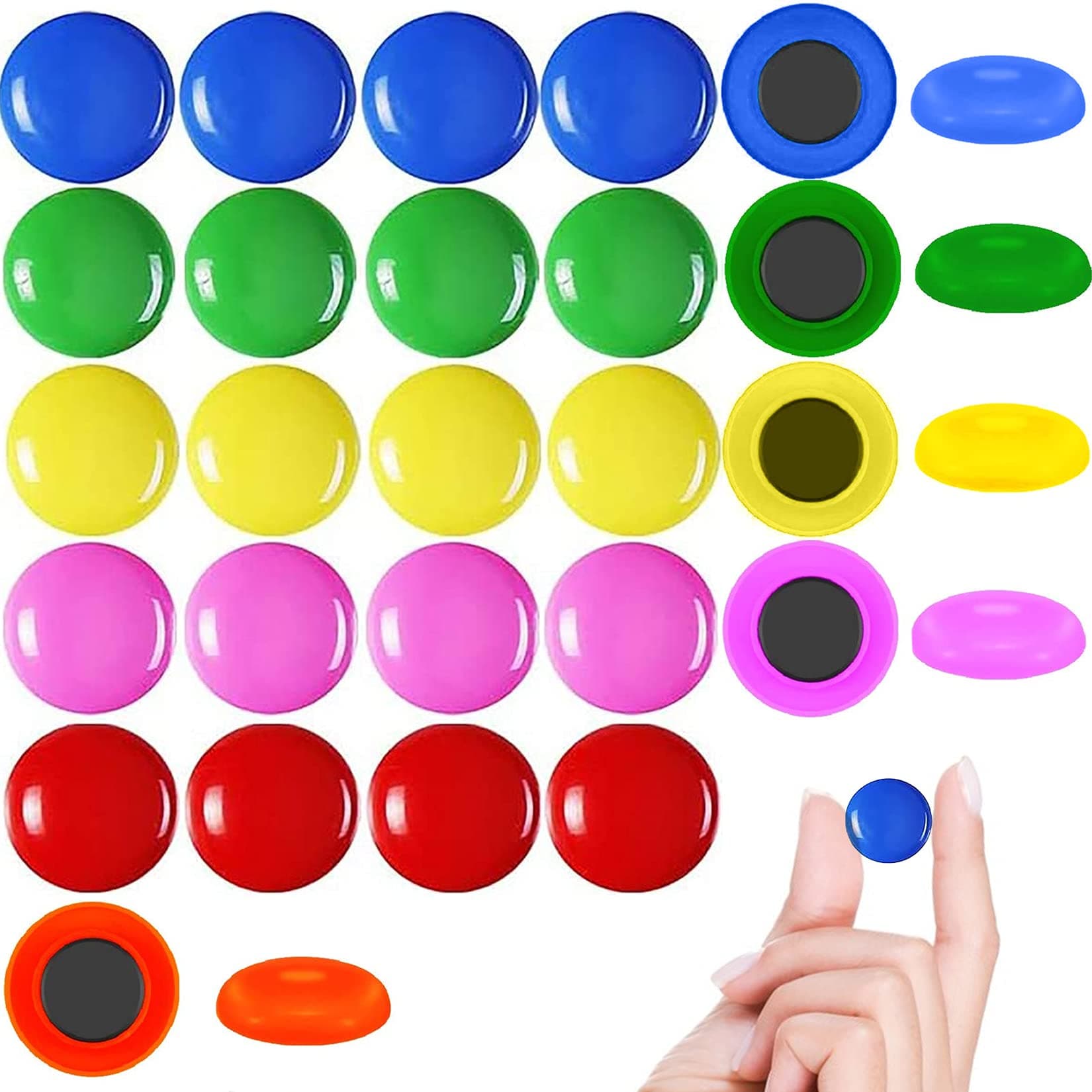 Goods-de Magnets | compatible with Fridge, Whiteboard, Flipchart and Home Schooling and Office use | powerful colored magnet tacks | 30 pcs, 30mm Diameter
