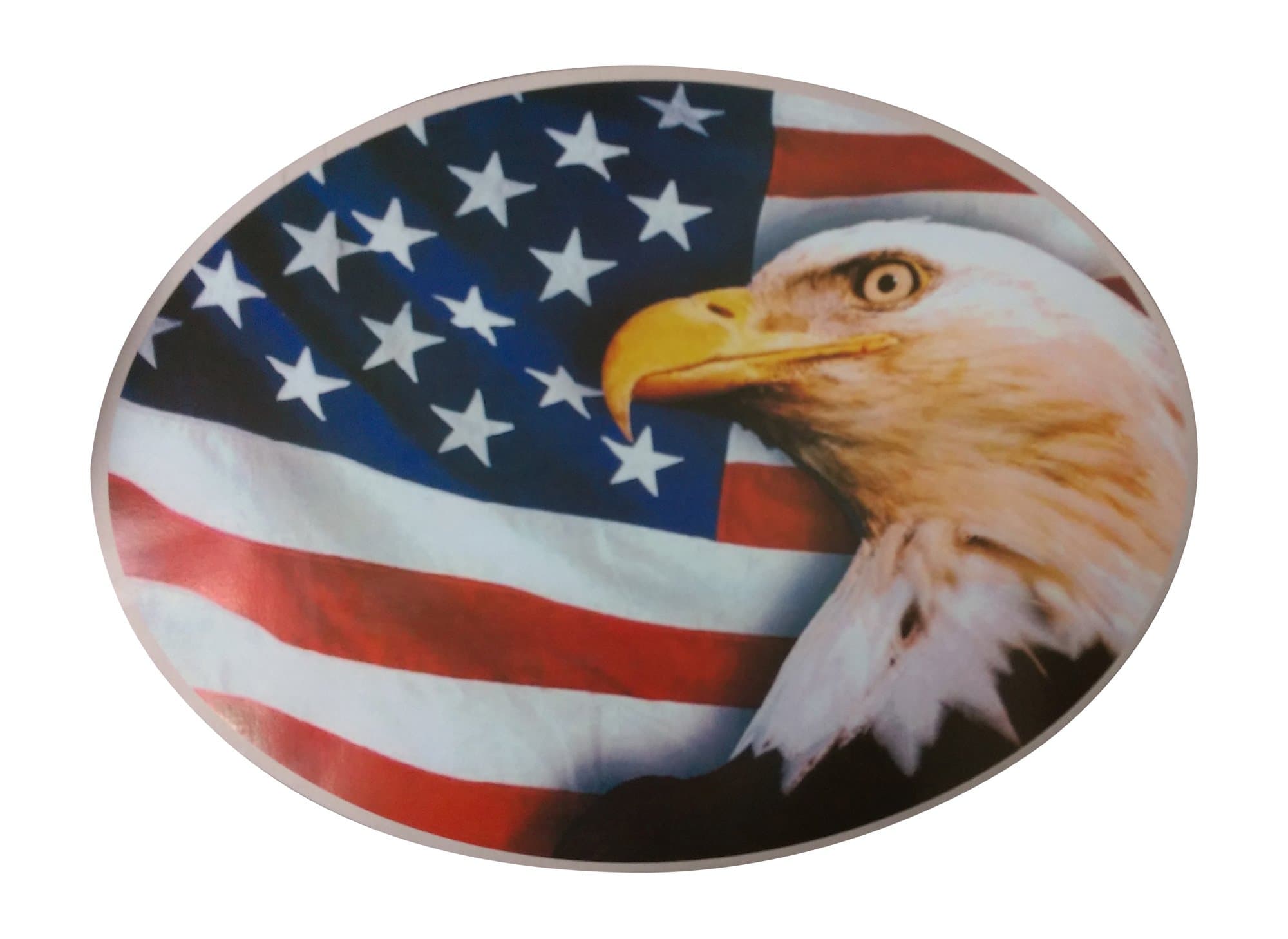 Gun Safe Art Magnet Large (15.75 x 11.75 inch)