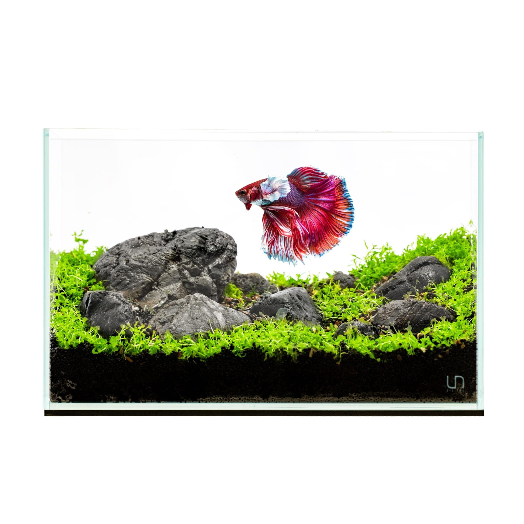 Ultum Nature Systems5N Clear Rimless Tanks, 4.6 gal