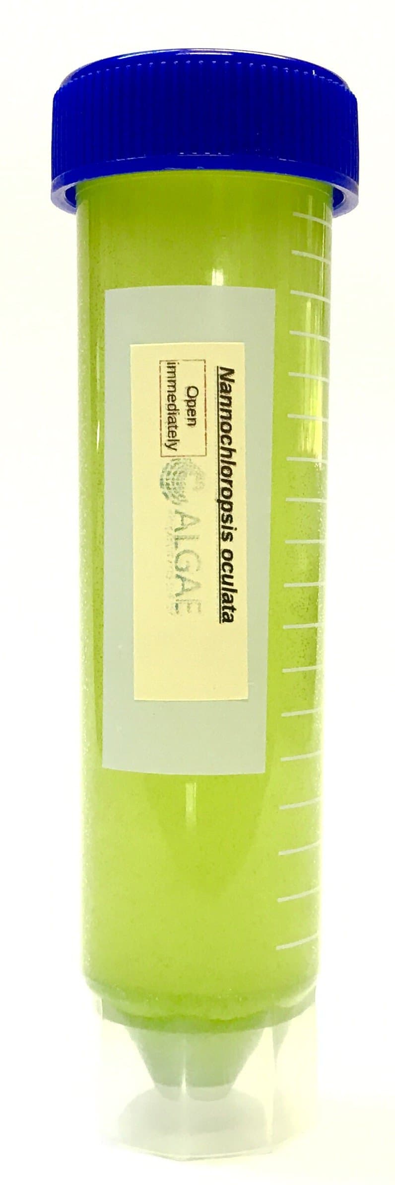 Algae Research Supply Algae Culture Nannochloropsis Occulata, Perfect for School Science Fairs/Projects, Experiments & Classrooms (50mL)