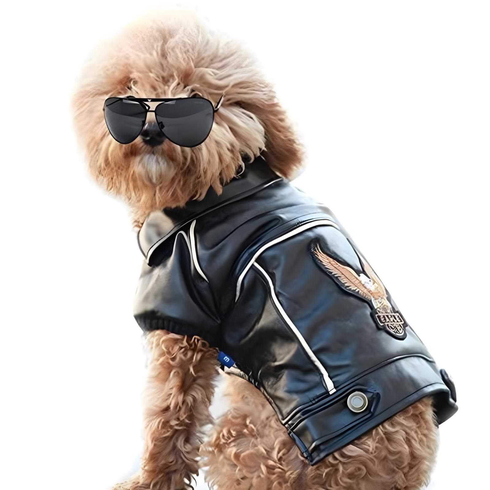 Dog Leather Jacket - Cute Leather Dog Jackets Motorcycle Clothes with Buttons Pet Waterproof Winter Coat for Small Medium Dogs(Black, XS)