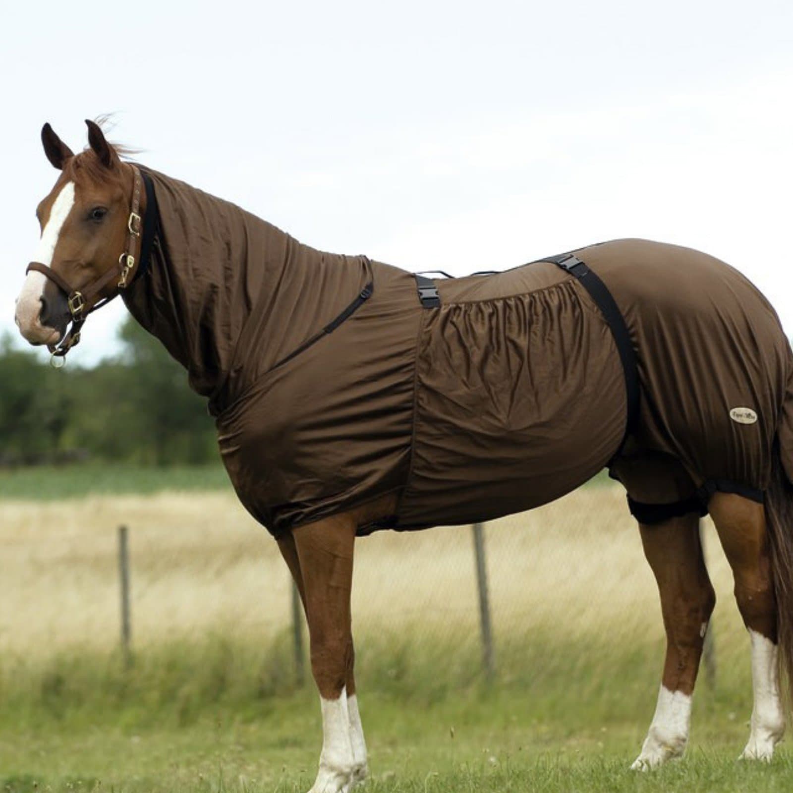 Equestrian Summer Turnout Protection Combo Sweet Itch Fly Blanket Brown 6'9