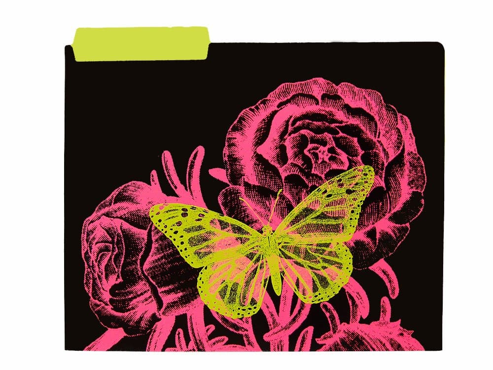 Girls Butterfly File Folders - 6pk.