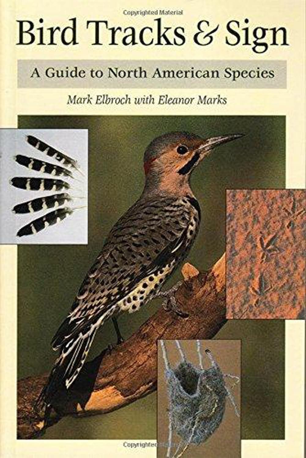 Bird Tracks & Sign : A Guide to North American Species Paperback – November 1, 2001