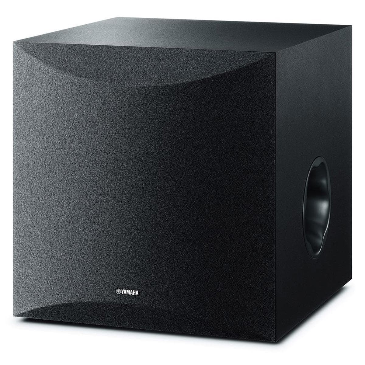 Audio 10" 100W Powered Subwoofer - Black (NS-SW100BL)