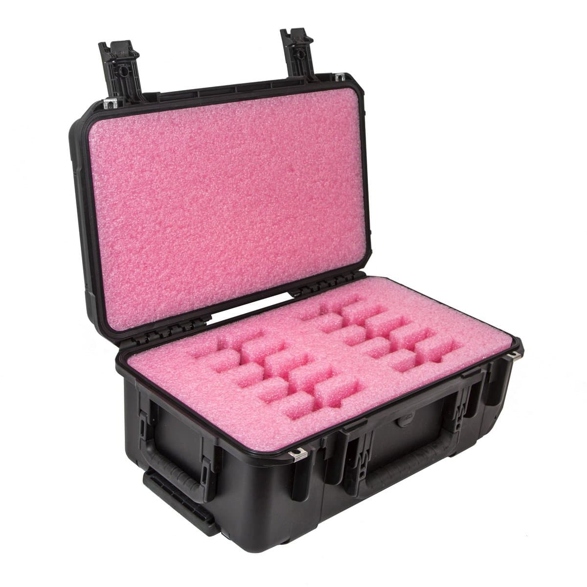 CasePro CP-HD-10PACK Universal Hard Drive 10 Pack Carrying Case (Black)