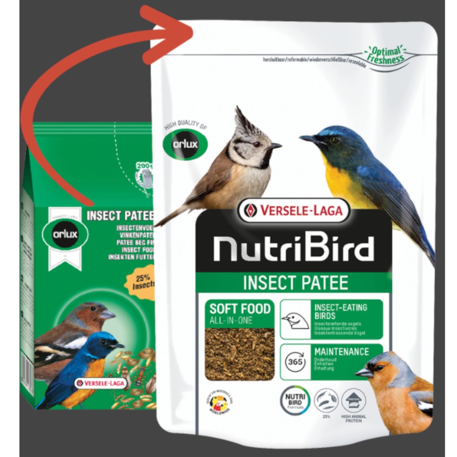 Orlux Insect Patee, Complete feed for insect eating birds, 800 g (1.75 lb)
