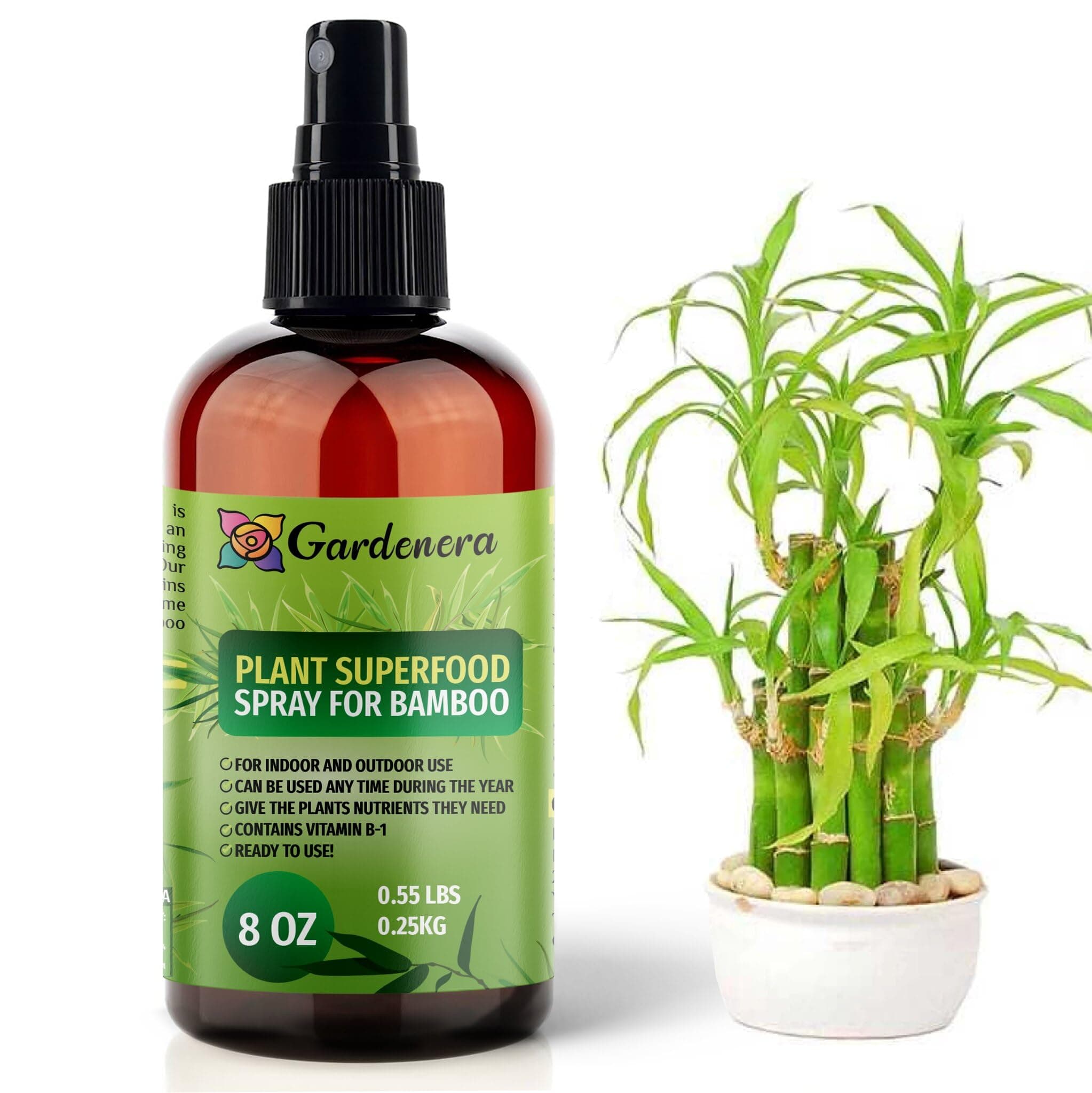 𝐁𝐄𝐒𝐓𝐒𝐄𝐋𝐋𝐄𝐑 Plant Superfood for Bamboo Plants with B1 Vitamin, Glucose and Essential Minerals - Organic Plantfood Fertilizer for Indoor & Outdoor Bamboo Plant Care - 8oz