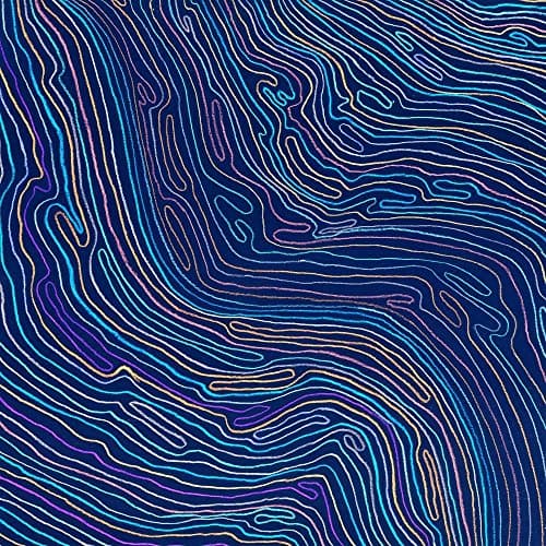 Pitaara Box Artwork D19 Unframed Canvas Painting 56 X 56Inch