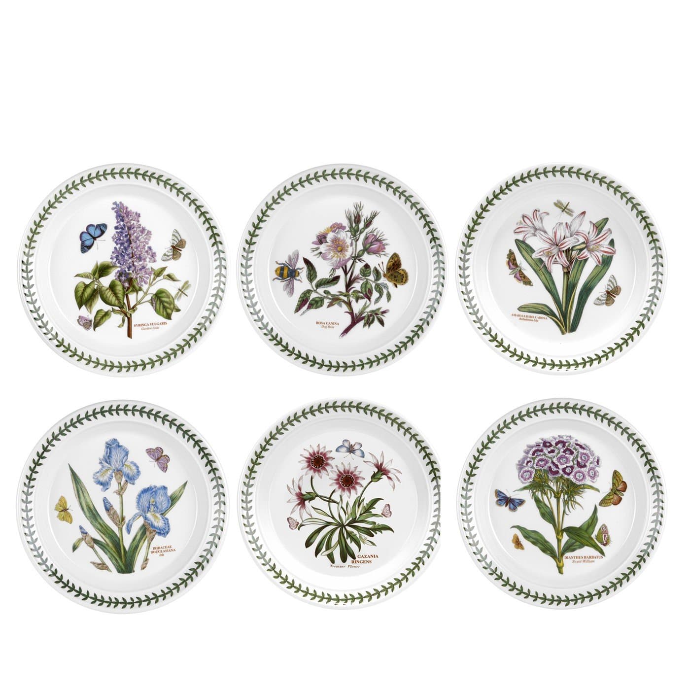Botanic Garden Plate, Set of 6 - various motifs, Dia.20cm