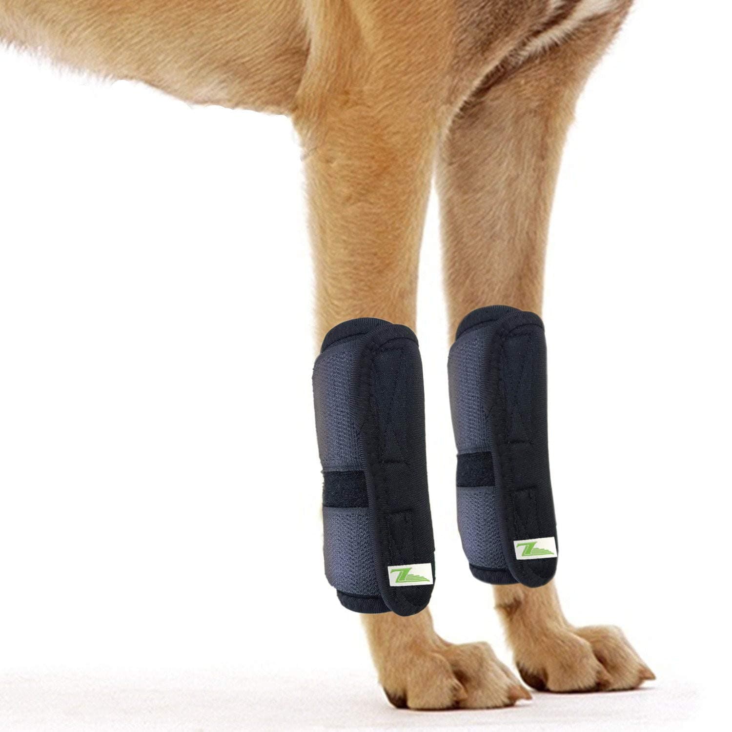 Dog Leg Brace One Pair Heals Hock Joint Wrap Sleeve for Front Legs(M/Front)