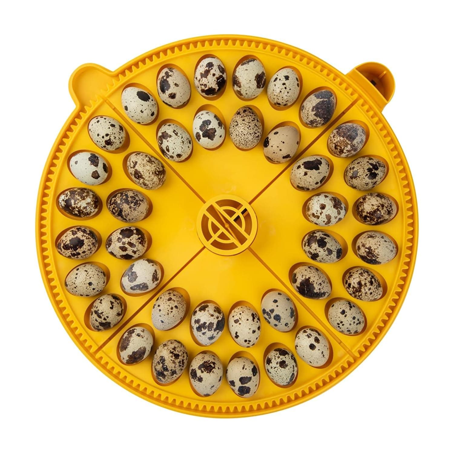 Brinsea Small Egg Quadrant Insert for Maxi Advance Incubator System, Fits 40 Pheasant or Quail-Size Eggs