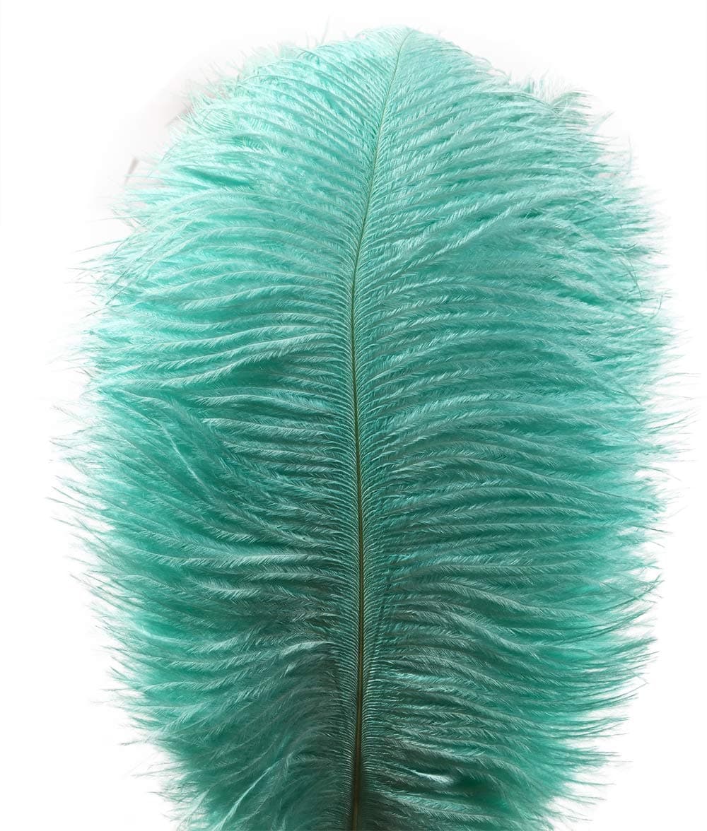 Lampu 10pcs Ostrich Feathers 12-14 inch(30-35cm) Plume Home Wedding Decoration（Mint Green）