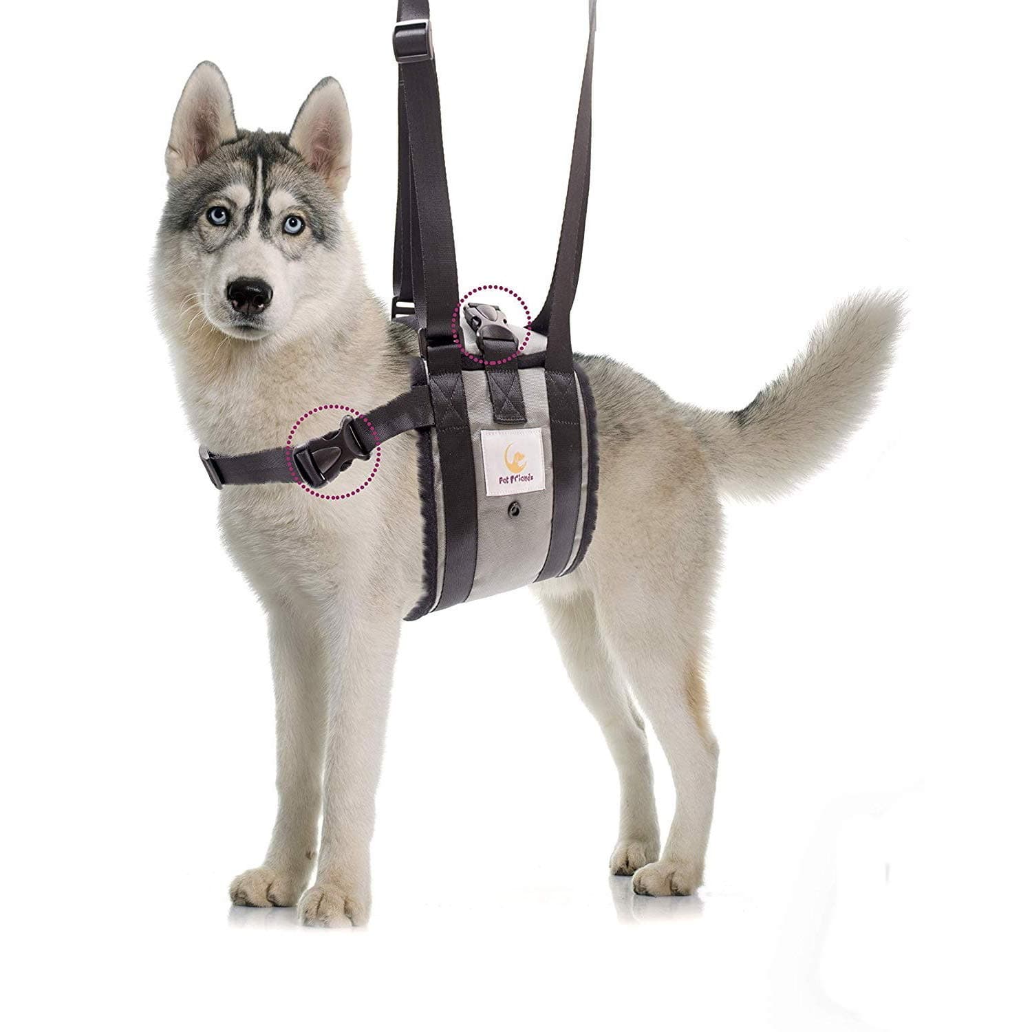 Veterinarian Approved Dog Support Harness + Hair Remover Glove - Dogs Sling Lift for Paralyzed Legs - Adjustable Straps - Mobility Rehabilitation for Injured Arthritis Elderly Disabled - XL breed