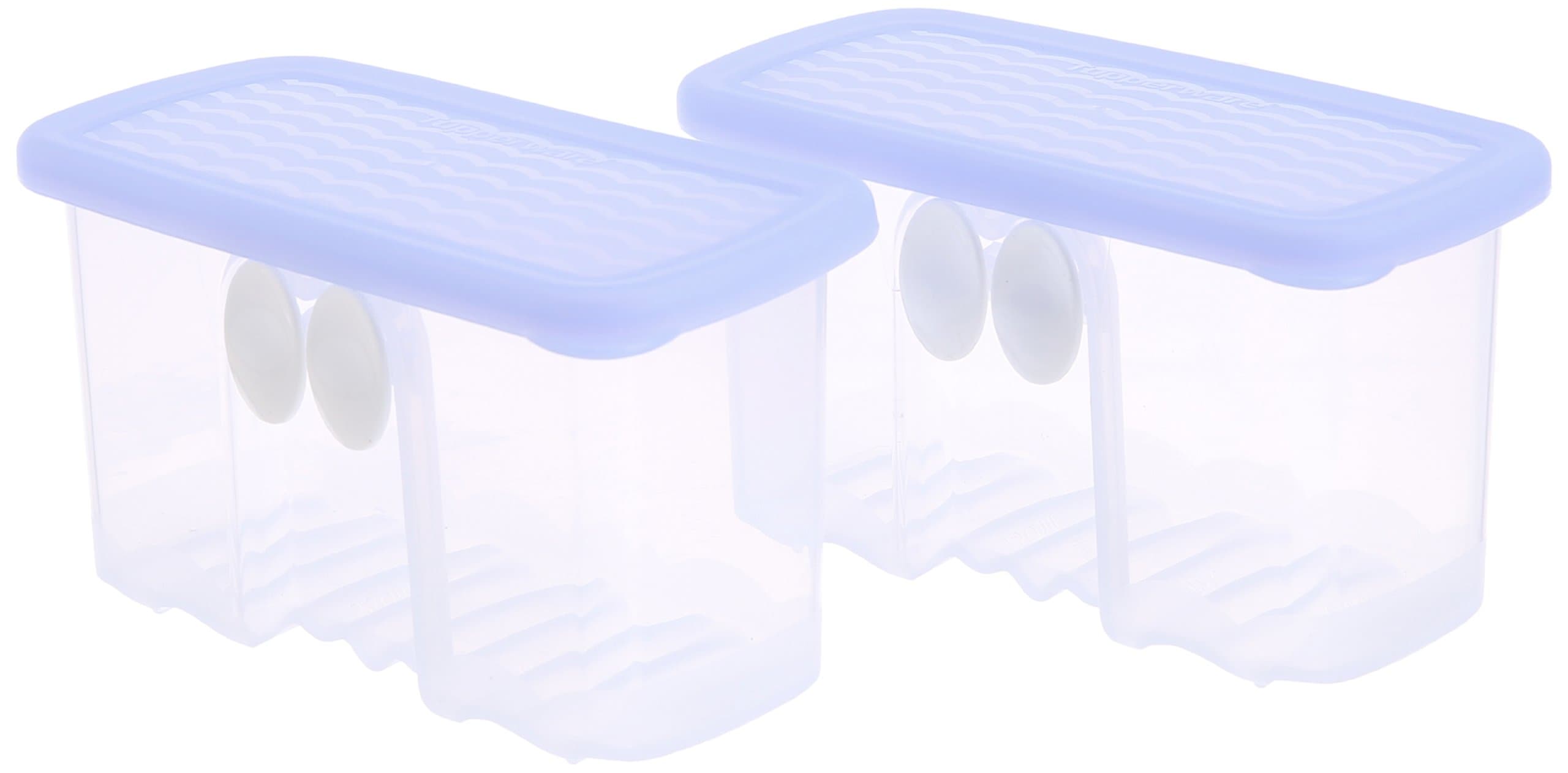 Fridge Smart Mini Container Set, Set of 2,Mulitcolor