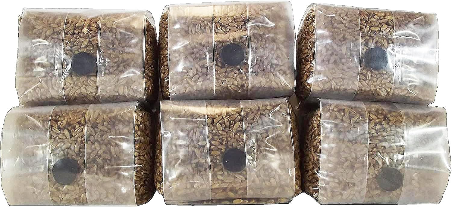 Sterilized Rye Berry Mushroom Substrate with Self Healing Injection Port (6)