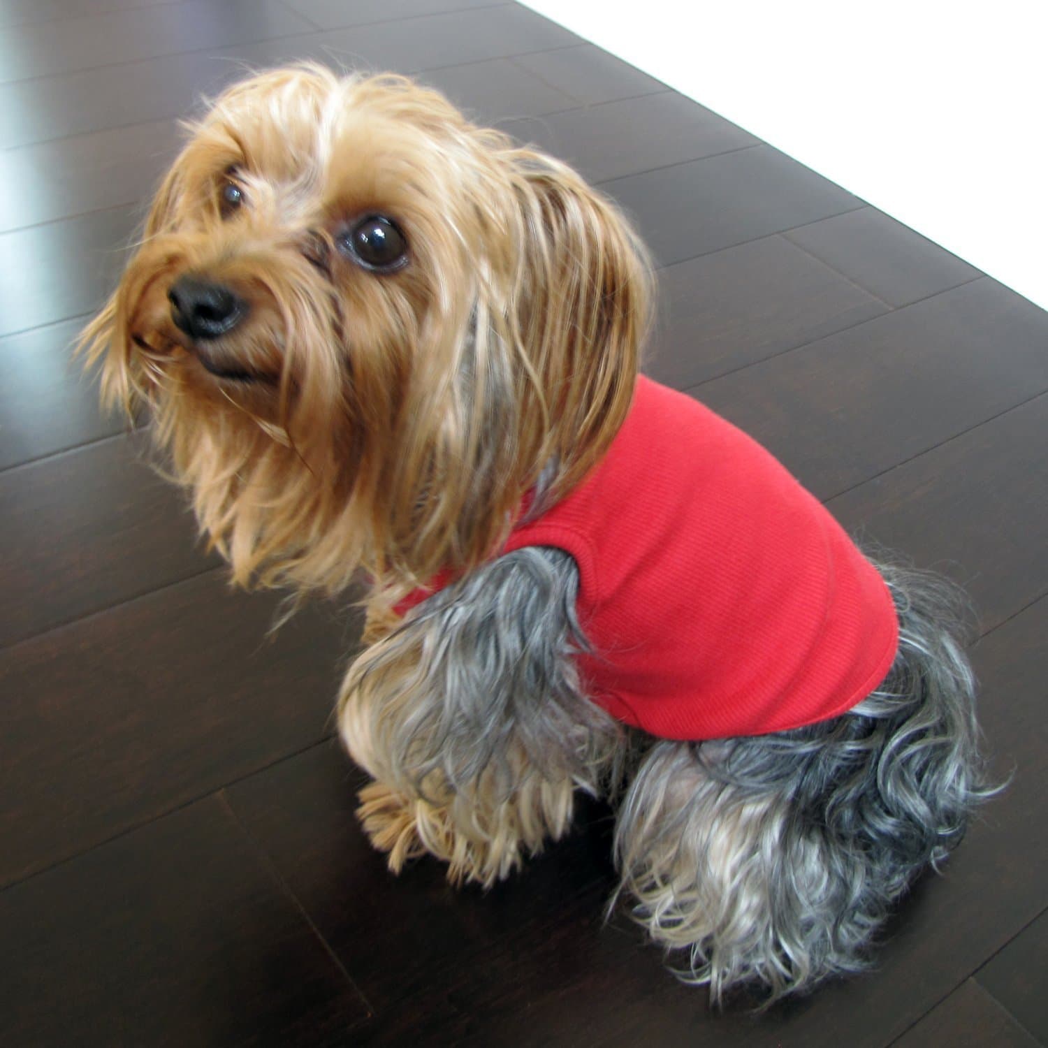 Epic Dog Clothing Wagon Red Dog Shirt X-Small