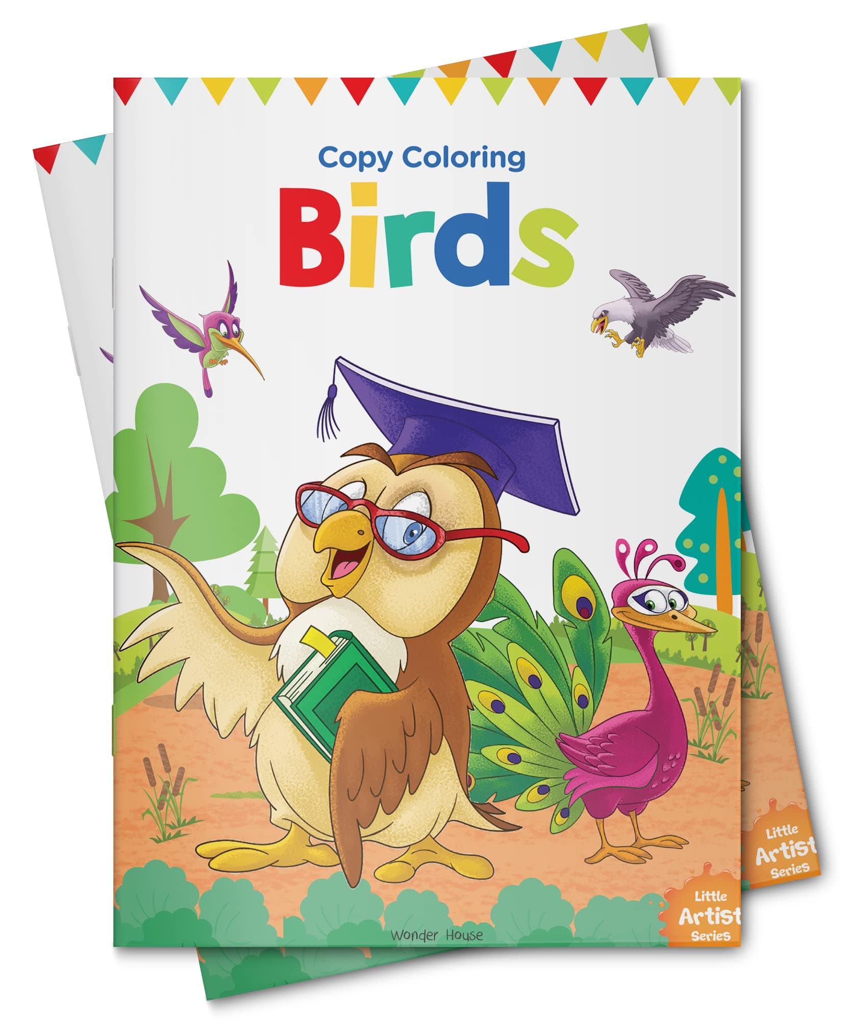 Wonder House Books Little Artist Series Birds : Copy Colour