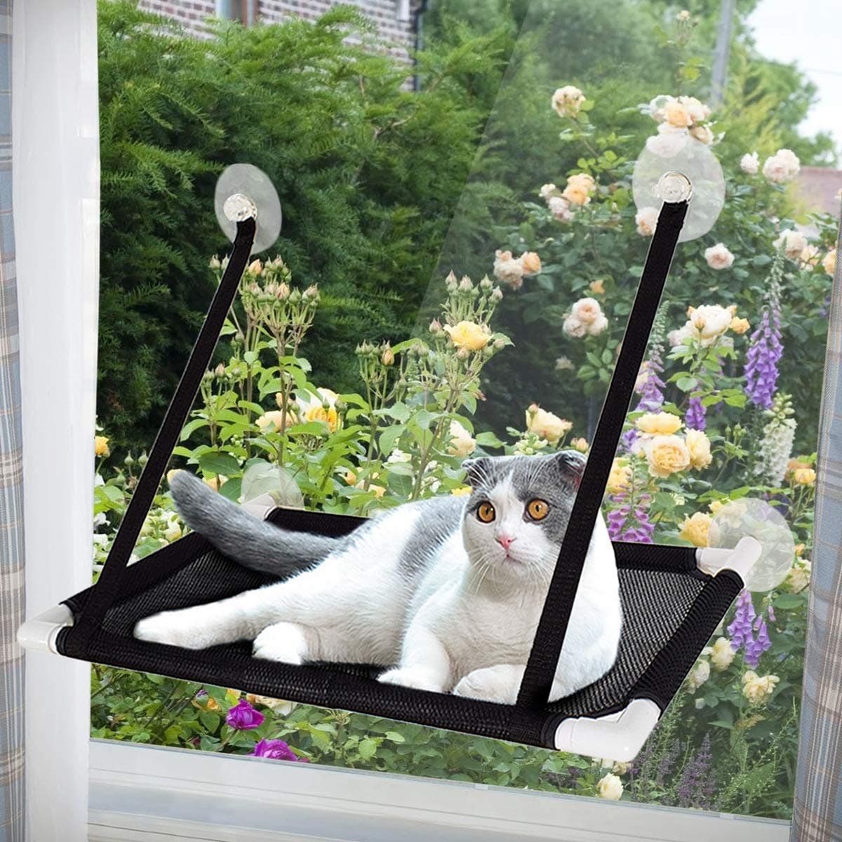Cat Hammocks Window, Cat Window Seat, Sunny Seat Perches 4 Big Suction Cups Holds Up 10kg, Space Saving and Safety Mounted Bed (Black)