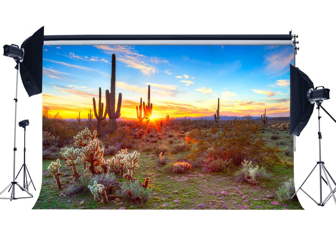 Haosphoto Tropical Cactus Backdrop 9X6FT Vinyl Wild Desert Backdrops Nature Sunrise Green Plants Blue Sky White Cloud Egyptian Photography Background for Outdoor Tourism Photo Studio Props YX922