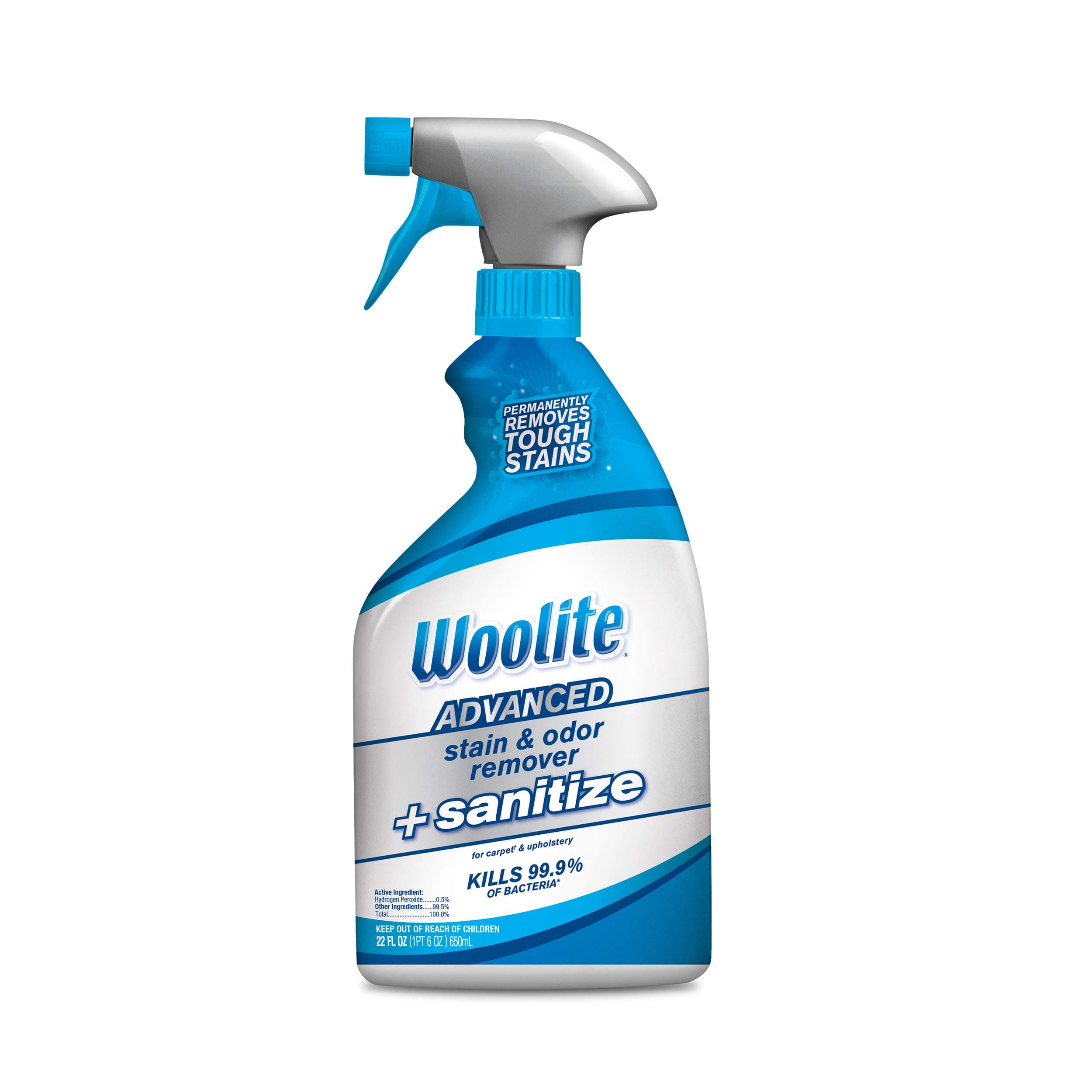 Bissell Woolite Advanced Stain & Odor Remover + Sanitize, 22floz