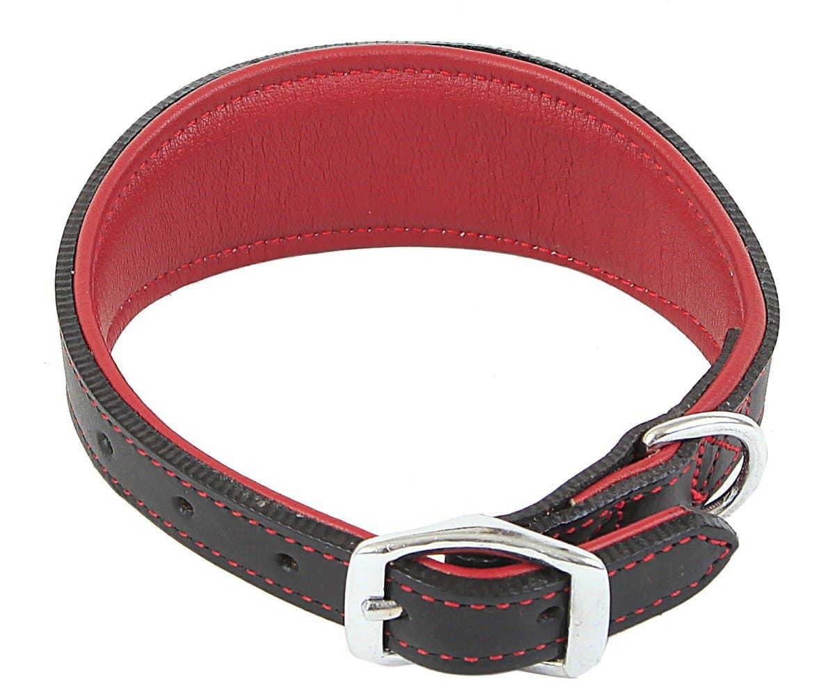 Outhwaite Padded Greyhound Collar, 12 mm x 36 cm, Red/Black