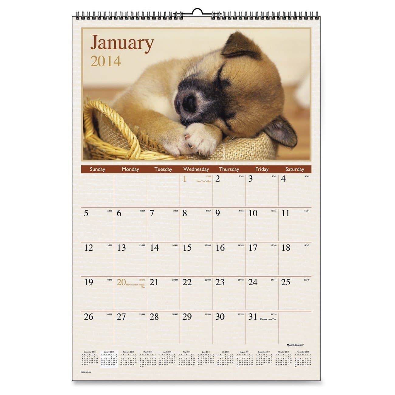 AT-A-GLANCE 2015 Puppies Monthly Wall Calendar, 15.5 x 22.38 x .06 Inches (DMW167-28) 2018-2019