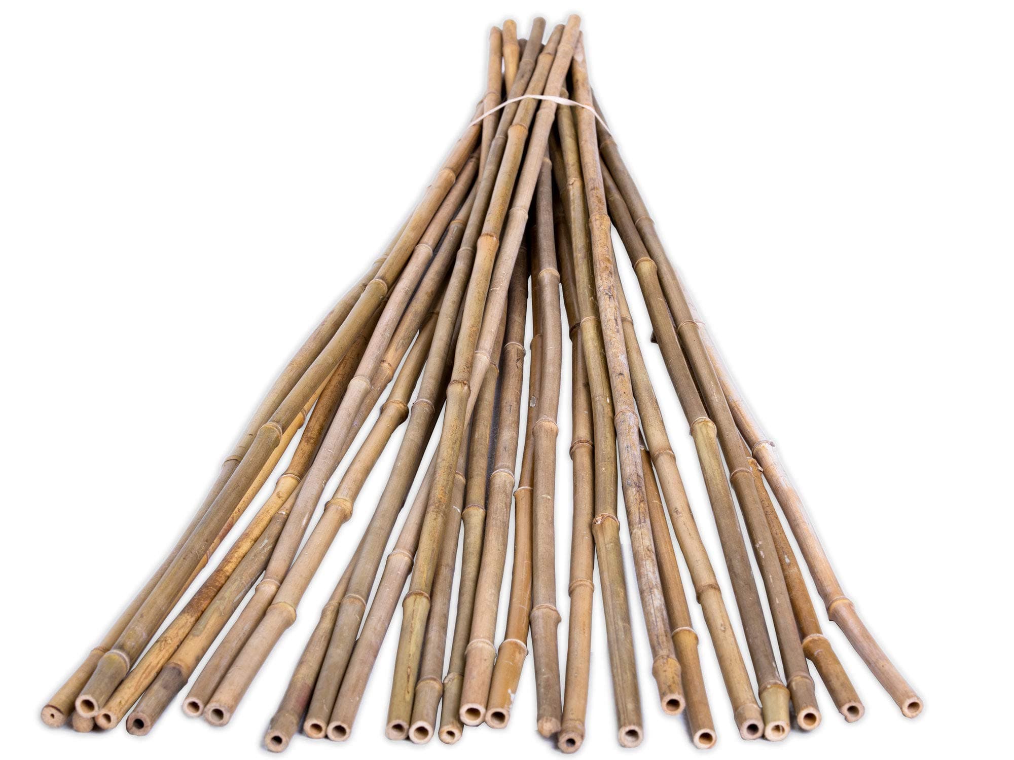 Backyard X-Scapes BAMA-BP12 Bamboo Poles, 25 Pack, 3/8" D x 6' H, Natural