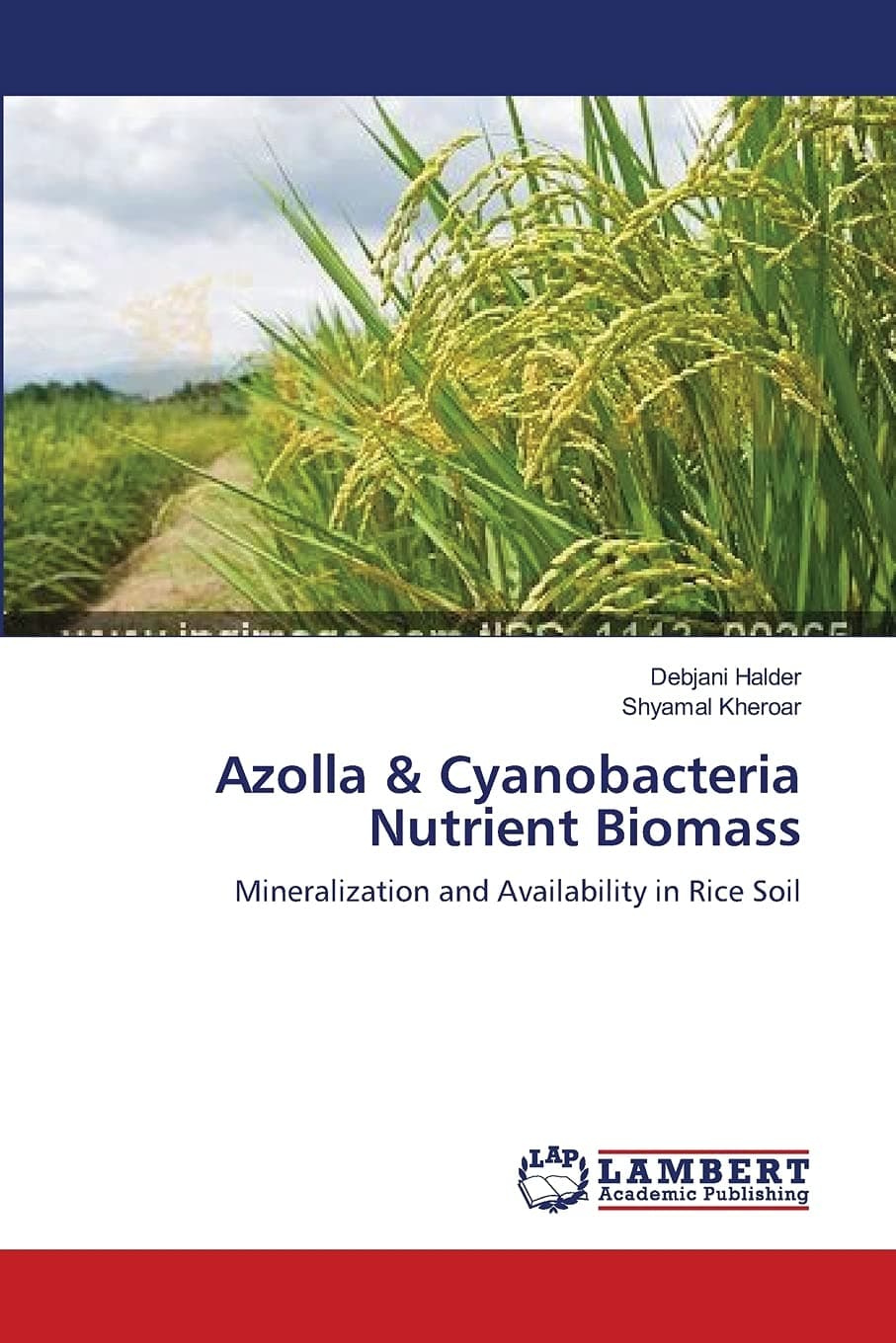 Azolla & Cyanobacteria Nutrient Biomass: Mineralization and Availability in Rice Soil