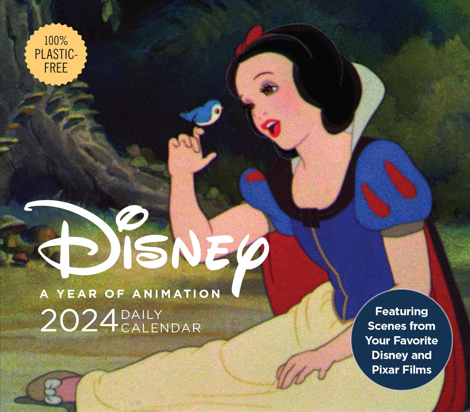 Chronicle Books ENTERTAINMENT Disney A Year of Animation 2024 Daily Calendar