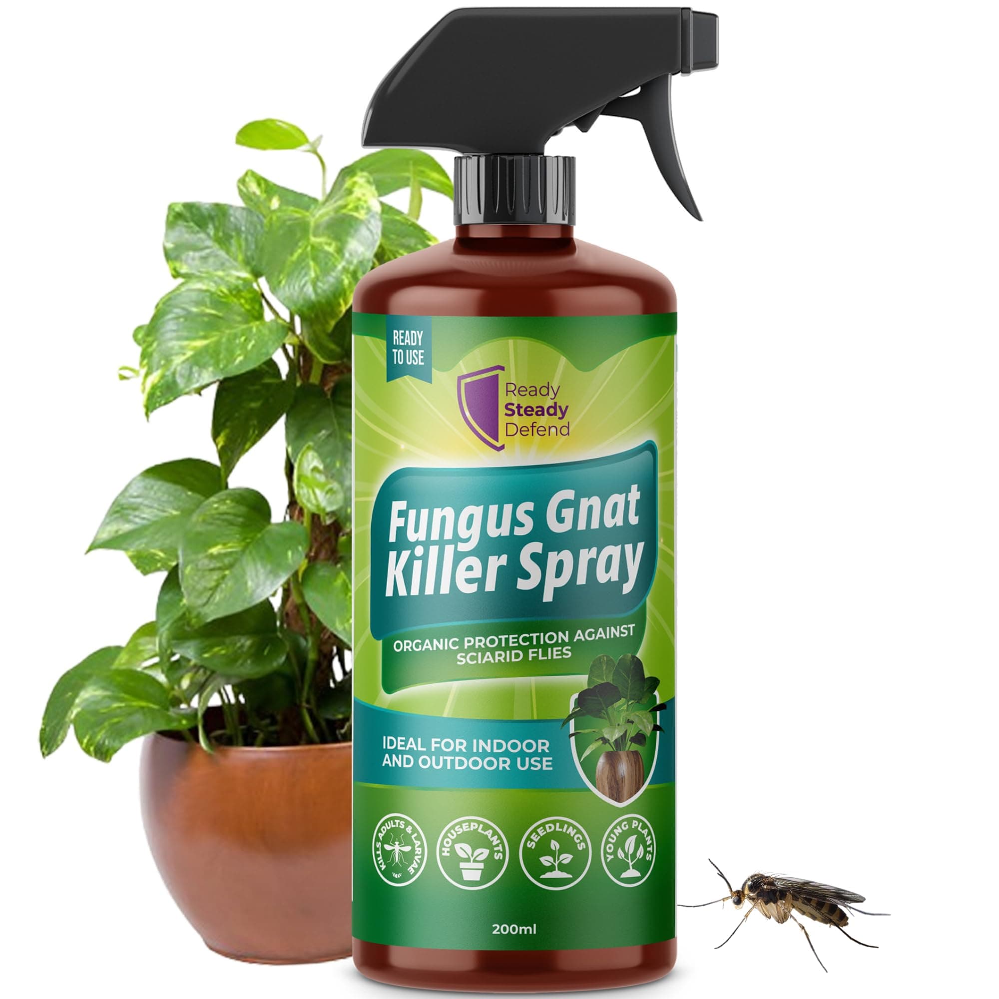 – Fungus Gnat Killer Spray 200ml | Organic Protection Against Sciarid Flies | Effective for Houseplants, Seedlings | Safe for Indoor & Outdoor Use | Targets Adults & Larvae | Eco-Friendly Formula