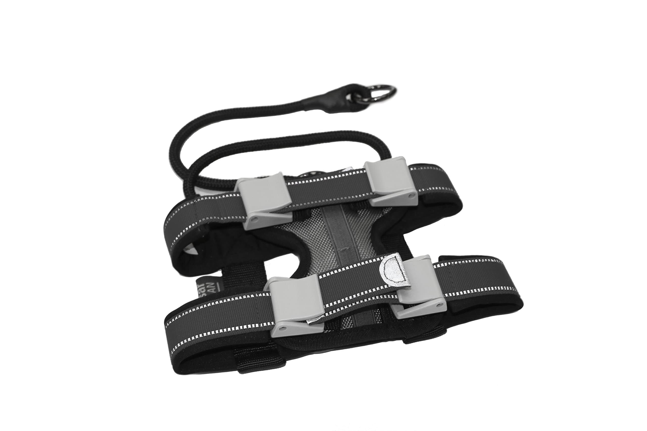 Cesar Millan Pack Leader Collar™ - Training Collar of The Dog Whisperer (Small, Grey) (Grey, M)