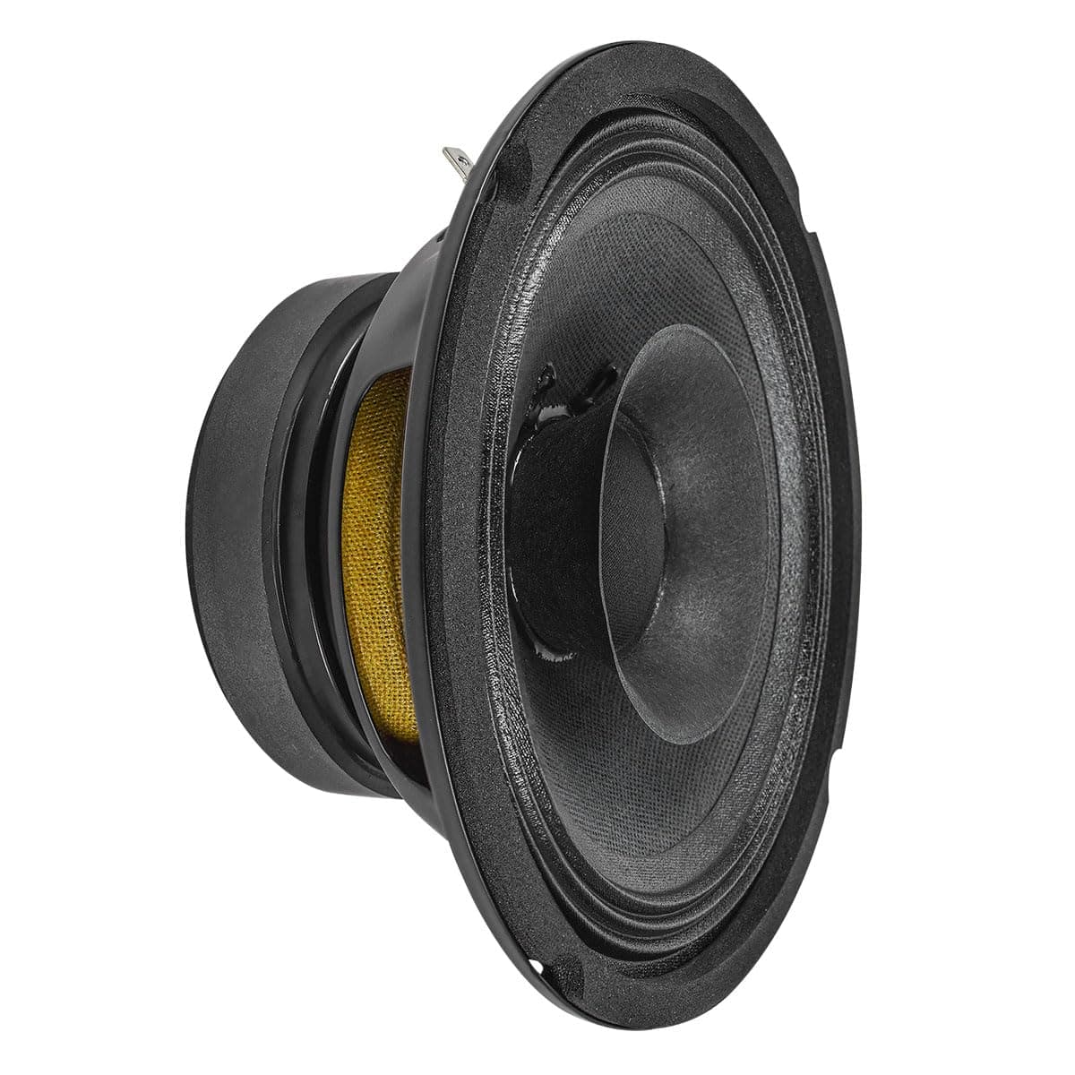 PRV Audio 6FR200 6 Inch Full Range Speaker, 8 Ohms, 200 Watts Continuous Program Power, 100 Watts RMS Power, 92.5 Db, Full-Range Driver, Loudspeaker For Pro Audio Systems (Single), Black